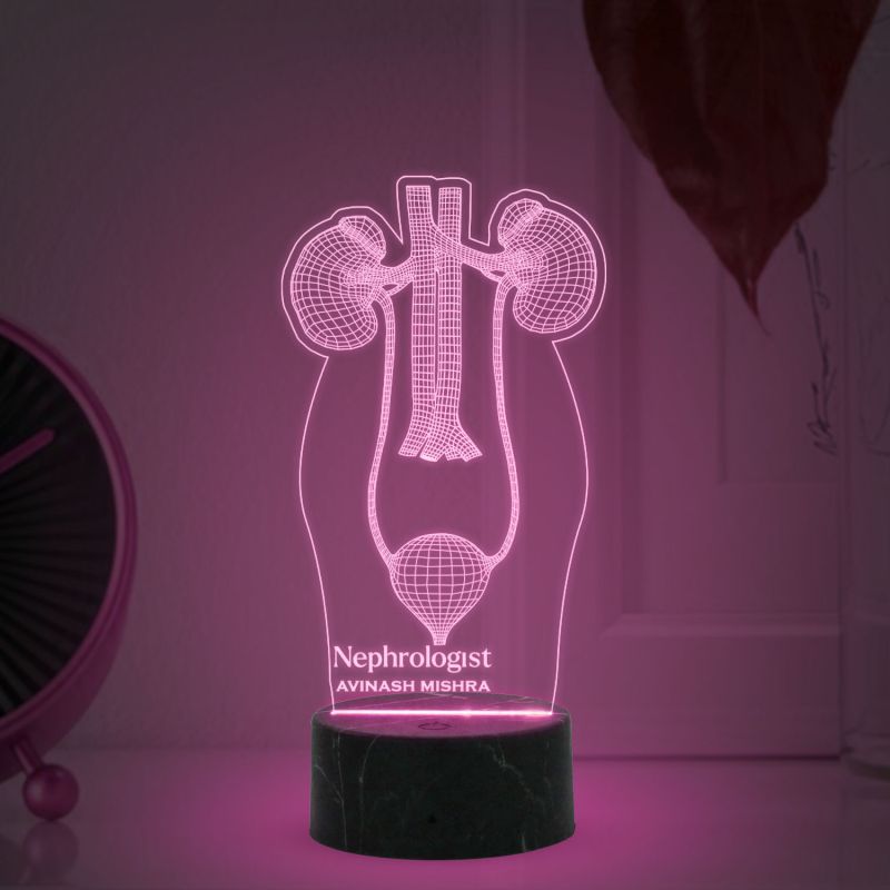 3D Illusion Kidney Led Lamp Nephrologist Kidney Light Multicolored Night Light with Remote Control
